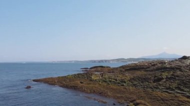 Kıyı Öfkesi: Engebeli Rocky Sahili 'ne Deniz Dalgaları Düştü