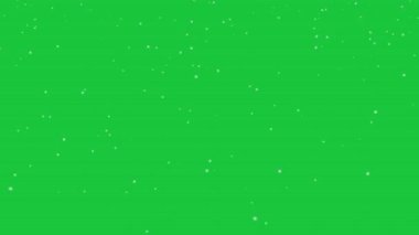 Beyaz Kar Taneciği Yavaş Hareket Döngüsü Canlandırma Yeşil Ekran 