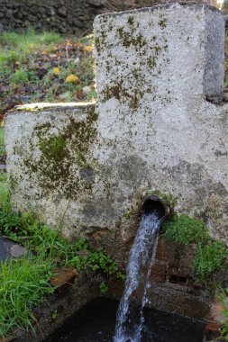 Doğal su kaynağı, zamanın geçişi ile giyilen ve doğa ve çimlerle çevrili küçük bir podyum benzeri bir yapıdan büyük bir akış ile doğada.