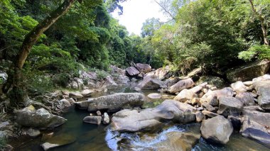 Arkasında kayalar ve ağaçlar olan bir nehir.