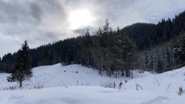 Bulutlu dağlarda kış manzarası. Bulutlar, çam ağaçları, orman, derin kar yığınları, karlı zirveler. Yumuşak kamera hareketi