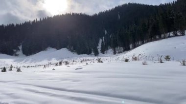 Dağlarda beyaz kar yağışı. Karda parlayan güneş ışığı, çam ağaçları, kar yığınları ve bulutlu mavi gökyüzü. Ses olmadan düzgün kamera hareketi