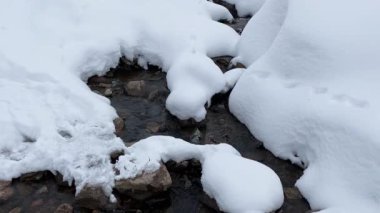 Buz gibi suyu olan bir dağ deresi kar ve taşların arasında ses ile akıyor..