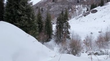 Karla kaplı dağlar ve ağaçlardan oluşan kış manzarası. Derin kar yığınları, tepeler ve dallar. Yumuşak kamera hareketi