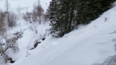 Dağ nehri ve karlı orman manzarası. Derin kar yığınları, kar ve ağaçlar. Yumuşak kamera hareketi