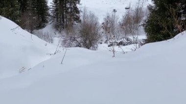 Karlı dağlarda büyük bir kar yağışı. Tepeler, ağaçlar, düzgün kamera hareketleri