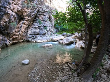 Kayalık kayalıklar ve ağaçların arka planında berrak su bulunan dağ nehri durgun suları