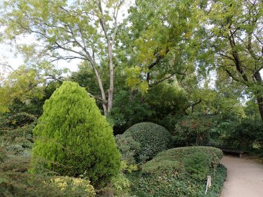 Fransa 'nın Toulouse kentindeki Japon Bahçeleri' nde yeşilin çeşitli tonları ve renkleri mevcuttur. Bitkilerdeki farklı şekil ve dokular muhteşem, doğal bir bahçe oluşturur..