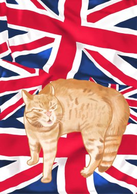 Arka planda Çoklu İngiliz Bayraklı Turuncu Kedi