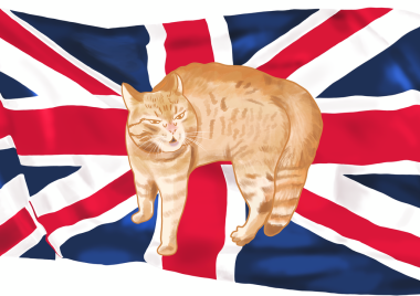 Arkaplan olarak İngiliz Bayrağı olan Turuncu Kedi