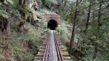 Terk Edilmiş Tren Hattı 'nda Bir Tünele Yaklaşan Ormanda Yürümek