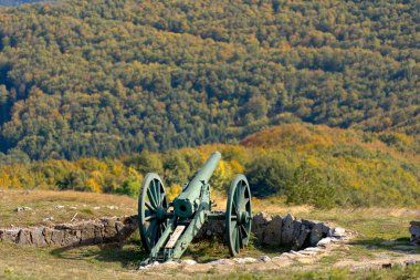 Tarladaki eski top siperlerle çevrili bir dağa bakıyor.