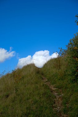 Leckhampton Hill, Cheltenham, İngiltere 'deki Grassy Patikası.
