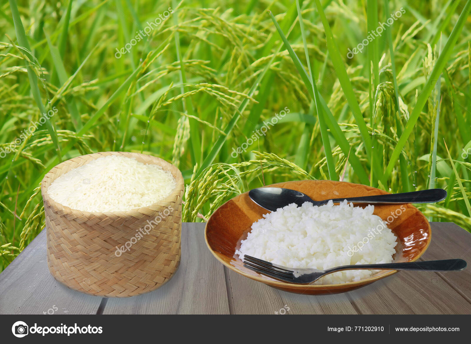 Uncooked Jasmine Rice Sticky Rice Box Jasmine Rice Bowl Wooden Stock uncooked-jasmine-rice-sticky-rice-box-jasmine-rice-bowl-wooden-stock