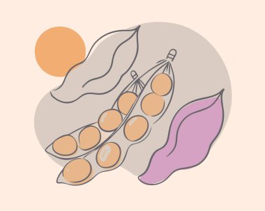 Soya tohumları vektör siluet çizgisi sanatı 