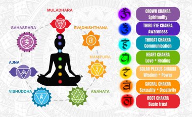 İnsan çakra enerjisinin Ayurveda asana illüstrasyonu