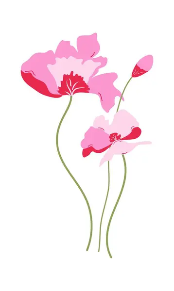 Pembe ve kırmızı gelincik çiçekleri. Üç el yapımı gelinciklerin basit kompozisyonu. Beyaz arkaplanda romantik ve şirin izole vektör çizimi