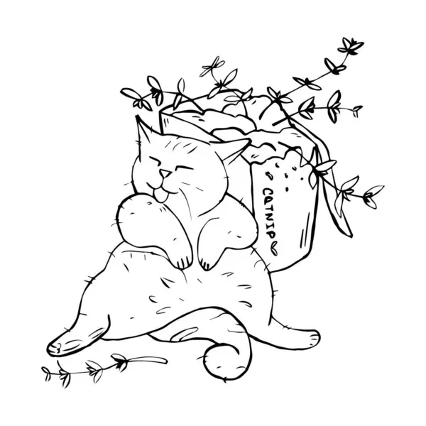 Sırt çantası kedi nanesi dolu el yapımı bir kedi. Şirin çizgi film tüylü kedicik. İzole edilmiş. Siyah ve beyaz çizgi vektör çizimi