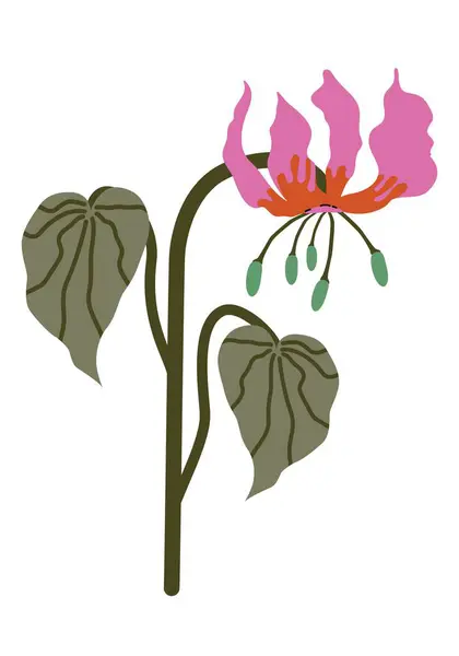 Stilize tropik alevli zambak pembesi ve turuncu. Elle çizilmiş egzotik çiçek Gloriosa Superba. Moda baskıları, duvar kağıtları ve dekoratif öğeler için vektör illüstrasyonu izole edildi