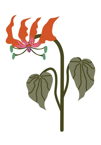 Stylize edilmiş tropik alev zambağı turuncu renkte ve kekeme. Elle çizilmiş egzotik çiçek Gloriosa Superba. Moda baskıları, duvar kağıtları ve dekoratif öğeler için vektör illüstrasyonu izole edildi
