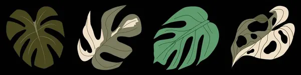 Renkli Canavar yaprakları seti. Modern botanik tarzı tropikal egzotik bitkiler. Moda baskıları, duvar kağıtları, dekoratif unsurlar için koyu arkaplan üzerine vektör illüstrasyonu