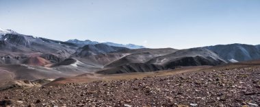 Volkanik kayalar ve alp bitkilerinin uyum içinde yaşaması Mendoza 'nın yüksek irtifadaki ekosistemlerinin çeşitliliğini gösteriyor..