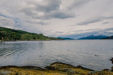 Sessiz Driftwood Sis kefenli Rocky Sahili boyunca uzanır