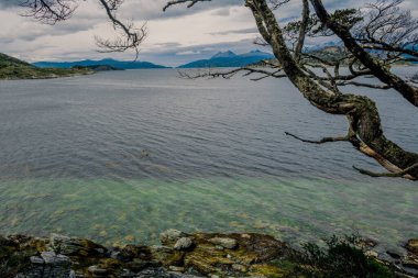 Lenga Ormanı 'ndan görülen Redonda Adası manzarası