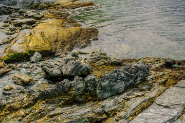 Engebeli kıyı şeridi Bulutlu Gökyüzünün yumuşak parıltısıyla yıkandı
