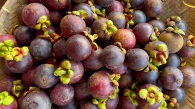 Geleneksel dokuma sepetinde sergilenen canlı bir mangosteen meyvesi. Mangosen 'lerin zengin mor derileri ve yeşil üstleri doğal güzelliklerini ve tropikal cazibelerini sergiliyor.
