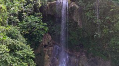 Yeşilliklerle çevrili yosun kaplı bir uçurumdan dökülen tropikal bir şelalenin büyüleyici yakın plan görüntüsü. Seyahat, doğa ve çevre konuları için ideal. Yüksek kalite 4k görüntü