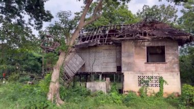 Çürümüş ahşap bir ev. Hasarlı bir çatı ve tropikal bir orman ortamında fazla büyümüş bitki örtüsü kırsal bozulma ve doğal çevreyi gösteriyor..