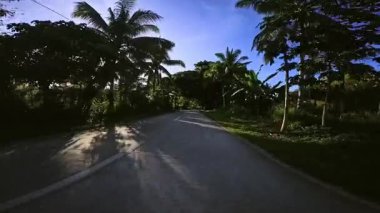 Yüksek palmiye ağaçları ve yemyeşil bitki örtüsüyle kaplı, tropik bir cennette manzaralı beton bir yol kıvrılır. Altın sabah güneşi sıcak ve davetkar bir atmosfer yaratıyor.