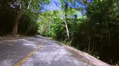 Dolambaçlı beton bir yol, uzun yeşil ağaçlarla çevrili, yemyeşil bir tropikal ormanın içinden geçiyor. Güneş ışığı yoğun gölgelerin arasından süzülerek yol üzerindeki lekeli gölgeleri oluşturur. Huzurlu ve manzaralı