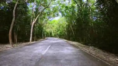 Bereketli tropikal ormanlarla çevrili sessiz, dolambaçlı bir yol. Pürüzsüz beton yol uzun yeşil ağaçlarla kaplı. Huzurlu ve manzaralı bir atmosfer yaratıyor. Güneş ışığı yoğun yaprakların arasından süzülür