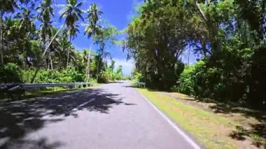 Yükselen palmiye ağaçları ve yoğun bitki örtüsüyle çevrili yemyeşil alanda tropikal bir yol esiyor. Parlak güneş ışığı pürüzsüz asfalta yumuşak gölgeler sererken, bir yandan güvenlik bariyeri...