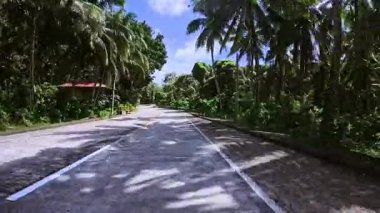 Pürüzsüz beton yüzeyi olan manzaralı bir tropikal yol yoğun yeşillik boyunca esiyor. Yolun iki tarafında da uzanan uzun palmiye ağaçları kaldırıma yumuşak gölgeler bırakıyor. Canlı yeşillikler ve parlak