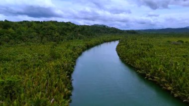 Yoğun yeşil palmiye ormanlarıyla çevrili dolambaçlı tropikal bir nehrin çarpıcı hava manzarası. Bereketli arazi ve sakin sular huzurlu ve resimli bir doğal manzara yaratır..