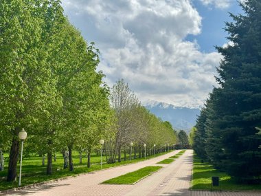Yeşil ağaçlar ve lamba direkleriyle dolu manzaralı bir park yolu parçalı bulutlu bir gökyüzünün altındaki uzak karlı dağlara çıkıyor. Huzurlu bir ortam ve canlı bir yeşillik hissi uyandırıyor.