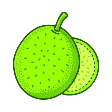 Basit çizgi film stili parlak yeşil ekmek meyvesi çizimi düz simgesi