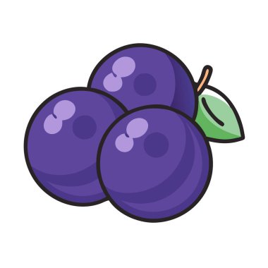 Basit çizgi film stili taze mor jabuticaba vektör resimleme düz simgesi