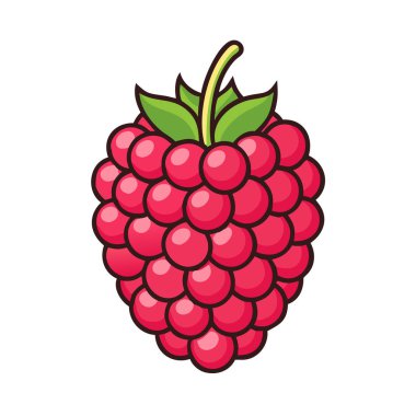 Basit çizgi film tarzı taze kırmızı ahududu vektör çizimi düz simge