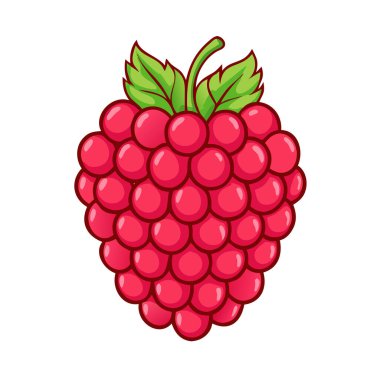 Basit çizgi film tarzı taze kırmızı ahududu vektör çizimi düz simge