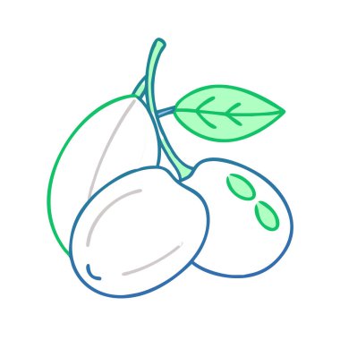 Basit çizgi film tarzı taze beyaz pouteria vektör çizimi düz simge