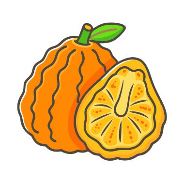 Basit çizgi film stili sulu turuncu ugli meyve vektörü resimleme düz simgesi