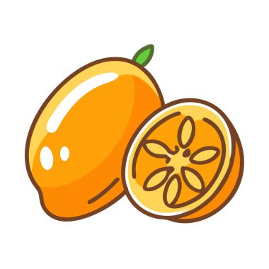Basit çizgi film stili sulu turuncu kumkatlı vektör resimleme düz simgesi
