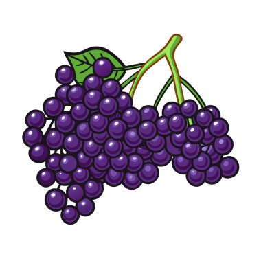 Basit çizgi film stili olgun mor mürver vektör çizimi düz simge