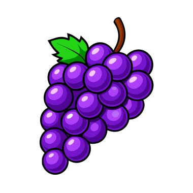 Basit çizgi film tarzı olgun mor üzümler vektör çizimi düz simge