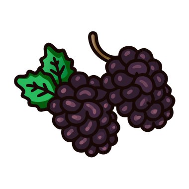 Basit çizgi film tarzı tatlı siyah dut vektör illüstrasyon düz simge