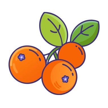 Basit çizgi film stili keskin turuncu yaban mersini vektör resimleme düz simgesi